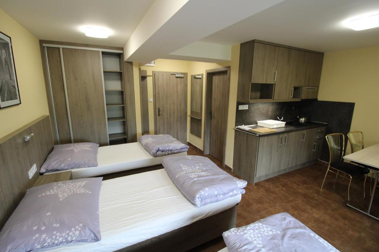Borovec Hotel Sedlnice Exterior photo
